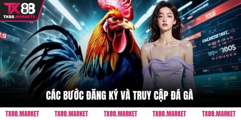 Đá Gà TX88 – Sân Chơi Đỉnh Cao Cho Người Đam Mê Gà Chiến