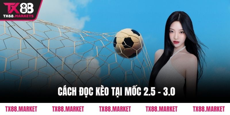 Hướng Dẫn Đọc Kèo Tài Xỉu Tại TX88 Chi Tiết Chuẩn Xác