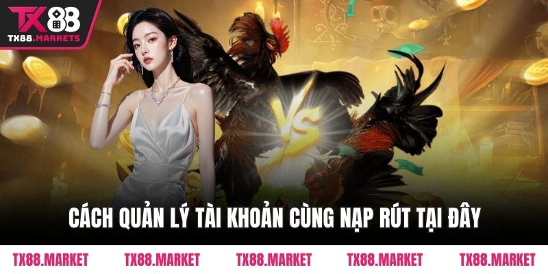 Đá Gà TX88 – Sân Chơi Đỉnh Cao Cho Người Đam Mê Gà Chiến