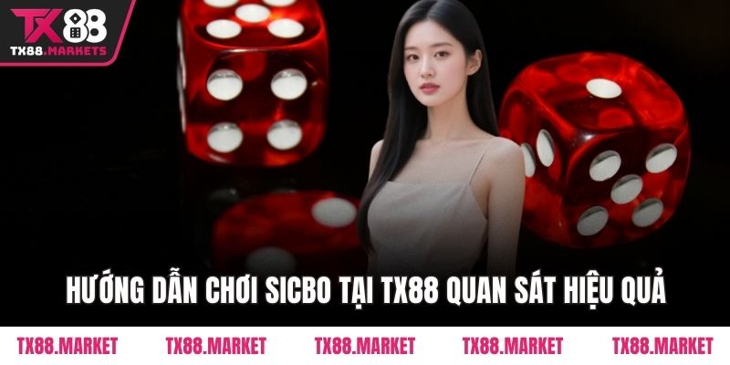 Hướng Dẫn Chơi Sicbo Tại Tx88 Chi Tiết Cho Người Mới
