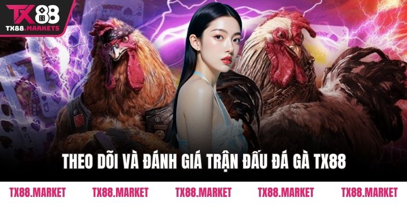 Đá Gà TX88 – Sân Chơi Đỉnh Cao Cho Người Đam Mê Gà Chiến