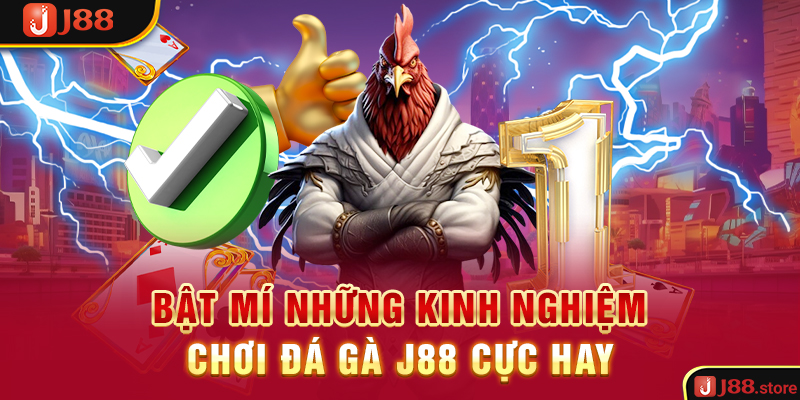 Trải Nghiệm Đá Gà J88 Và Rinh Về Phần Thưởng Cực Khủng