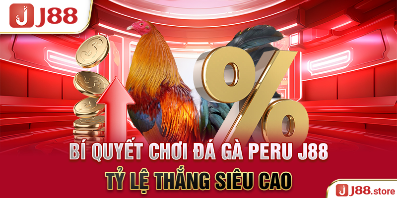 Đá Gà Peru J88 - Thần Kê Quy Tụ Cùng Nhau Tranh Tài Hấp Dẫn