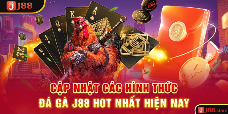 Trải Nghiệm Đá Gà J88 Và Rinh Về Phần Thưởng Cực Khủng