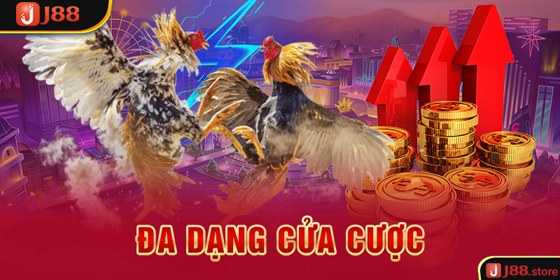 Trải Nghiệm Đá Gà J88 Và Rinh Về Phần Thưởng Cực Khủng