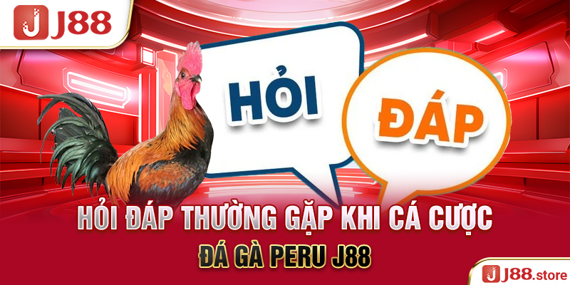 Đá Gà Peru J88 - Thần Kê Quy Tụ Cùng Nhau Tranh Tài Hấp Dẫn