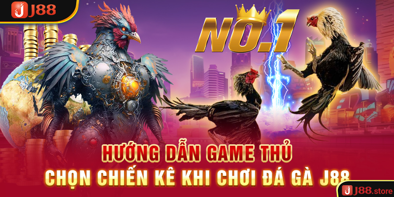 Trải Nghiệm Đá Gà J88 Và Rinh Về Phần Thưởng Cực Khủng