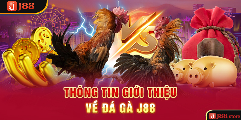 Trải Nghiệm Đá Gà J88 Và Rinh Về Phần Thưởng Cực Khủng