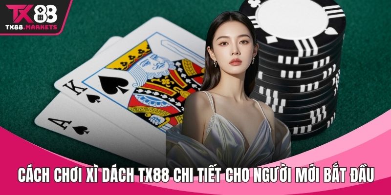Blog cá cược - TX88