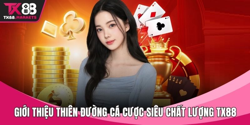 Liên hệ CSKH – Giải Quyết Vô Vàn Tình Huống Gọn Lẹ