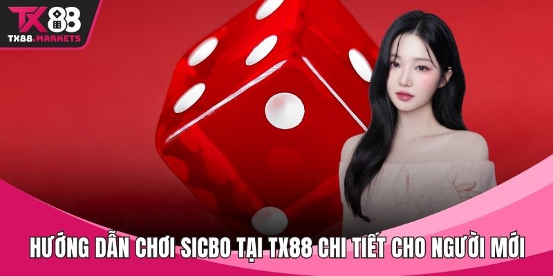 Blog cá cược - TX88